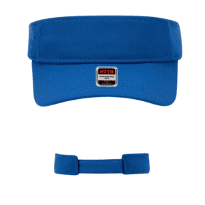 Visors