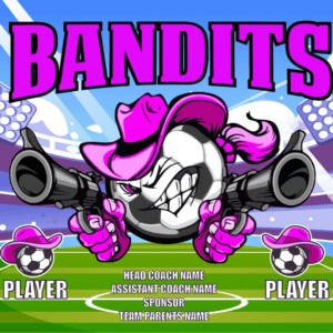 Vinyl Team Banners 3 x 5'